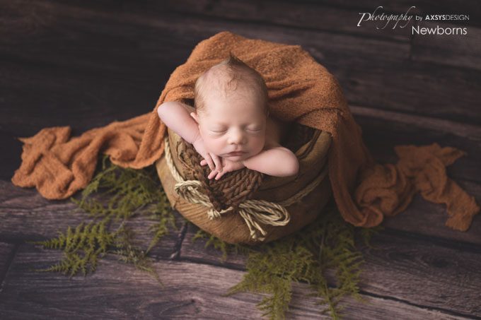 Carnesville GA Newborn Photographer