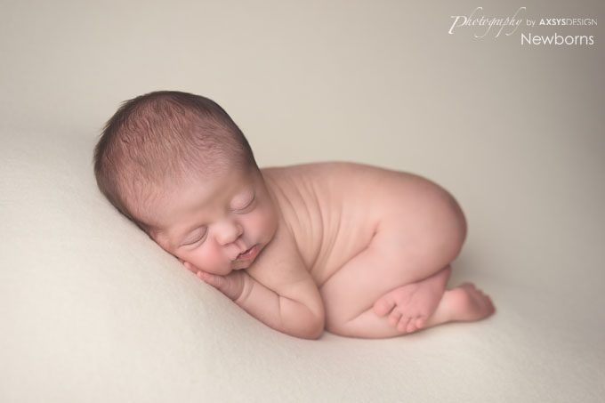 Seneca SC Newborn Photographer