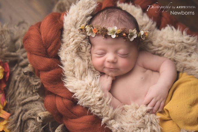 Seneca SC Newborn Photographer