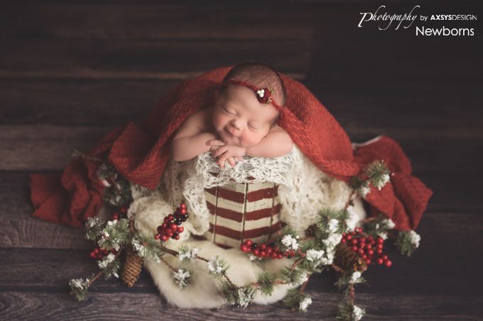 Seneca SC Newborn Photographer