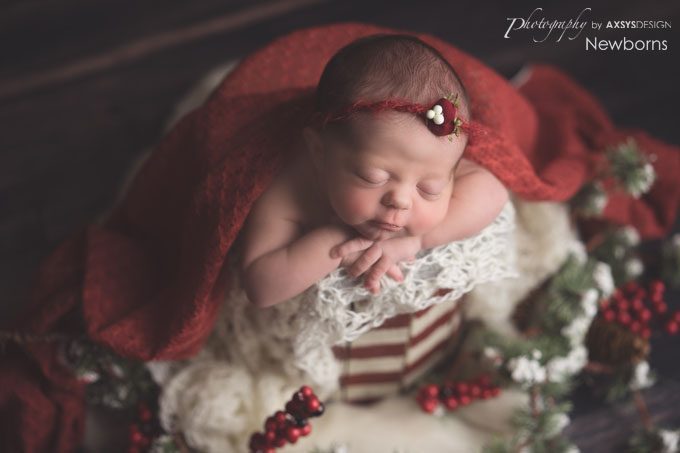 Seneca SC Newborn Photographer