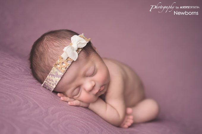 Seneca SC Newborn Photographer